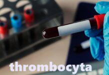 thrombocyta
